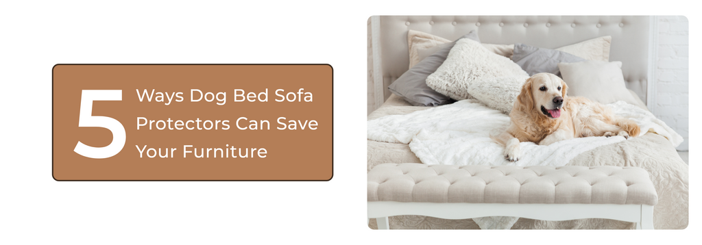 5 Ways Dog Bed Sofa Protectors Can Save Your Furniture (and Money!)