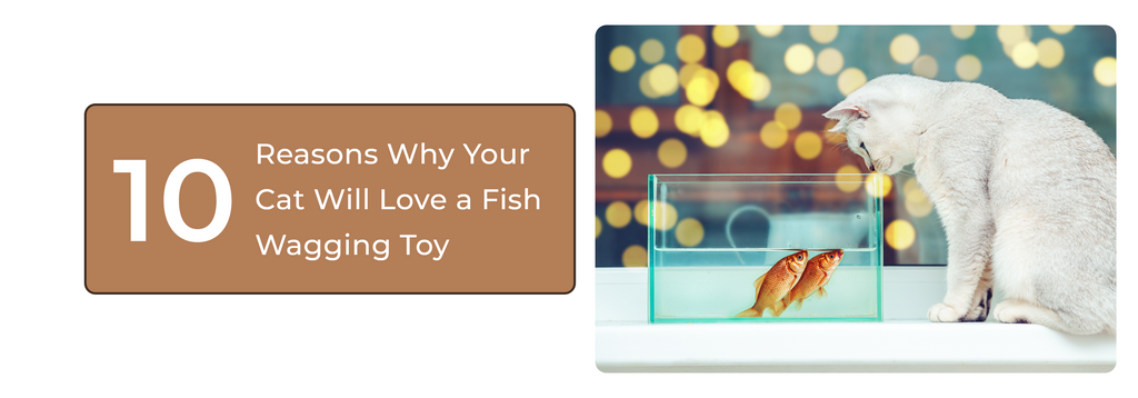 Top 10 Reasons Why Your Cat Will Love a Fish Wagging Toy